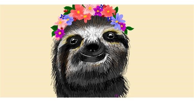 Drawing of Sloth by Sara