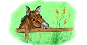 Drawing of Donkey by Lise