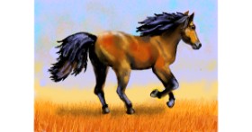 Drawing of Horse by SAM AKA MARGARET 🙄