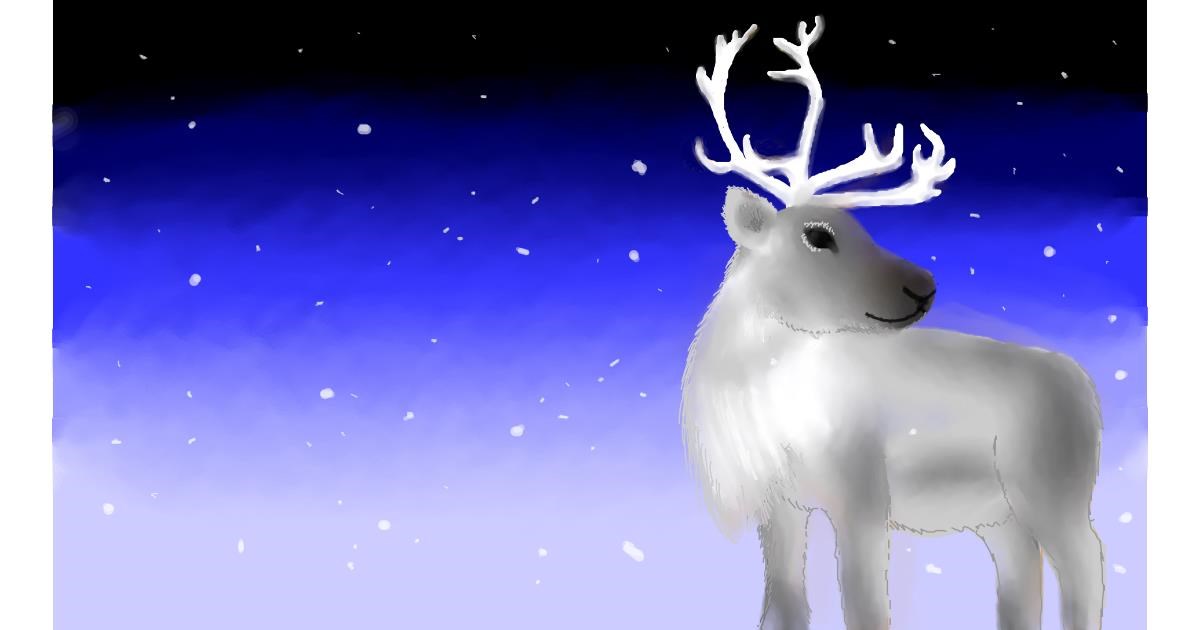 Drawing of Reindeer by Tamara