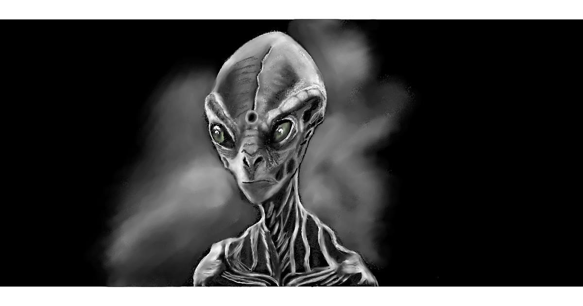 Full Size Drawing