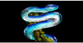 Zmija - autor: Eclat de Lune