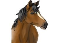 Drawing of Horse by 🫧Maruchan🫧 🍜