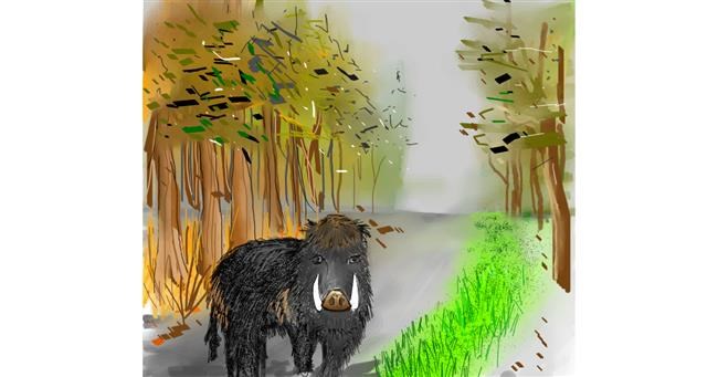 Drawing of Wild boar by Bro