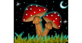 Gljiva - autor: Freny