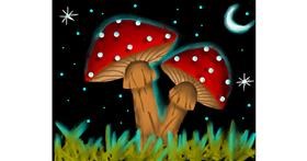 Drawing of Mushroom by Freny