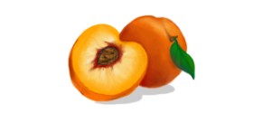 Drawing of Peach by Scott