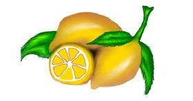 Drawing of Lemon by TofuTime