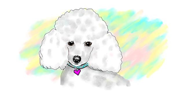 Drawing of Poodle by Debidolittle