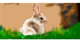 Drawing of Bunny by Kim