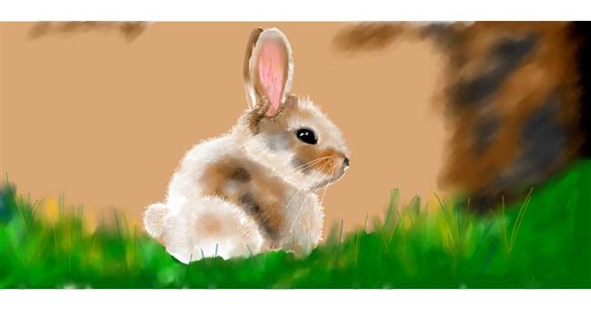 Drawing of Bunny by Kim