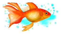 Drawing of Goldfish by Debidolittle