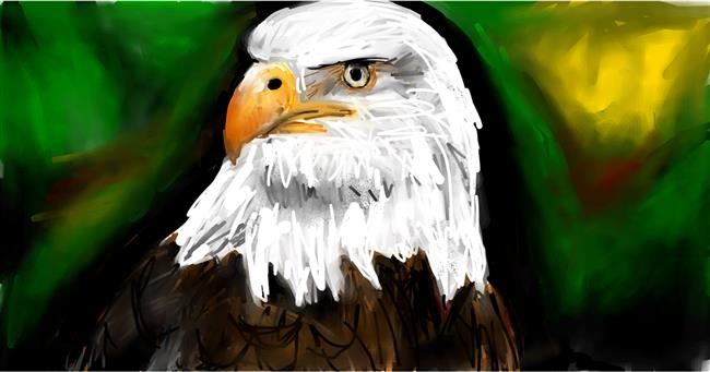 Drawing of Eagle by Soaring Sunshine