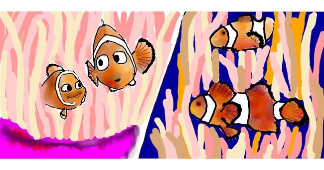 Drawing of Clownfish by Kim