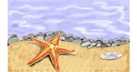 Drawing of Starfish by SAM AKA MARGARET 🙄