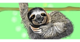 Drawing of Sloth by Çhåching