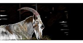 Drawing of Goat by Chaching