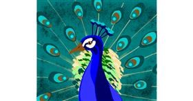 Drawing of Peacock by Cookie