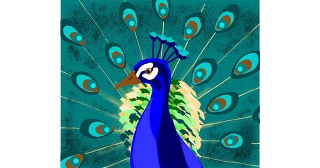 Drawing of Peacock by Cookie