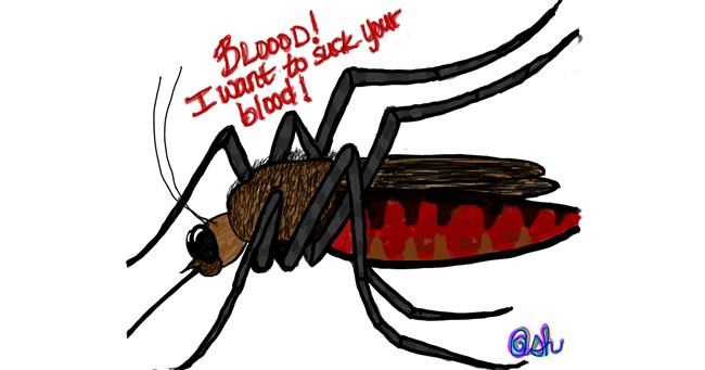 Drawing of Mosquito by Ashley