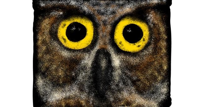 Drawing of Owl by Nonuvyrbiznis 