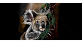 Drawing of Koala by Çhåching