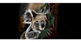 Koala - autor: Çhåching