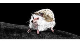 Drawing of Hedgehog by Chaching