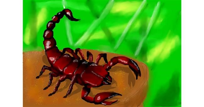 Drawing of Scorpion by Zi