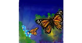 Drawing of Butterfly by Naaz