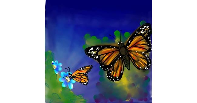 Schmetterling-Zeichnung von Naaz