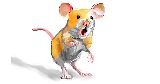 Drawing of Mouse by Herbert
