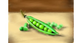 Drawing of Peas by Wizard