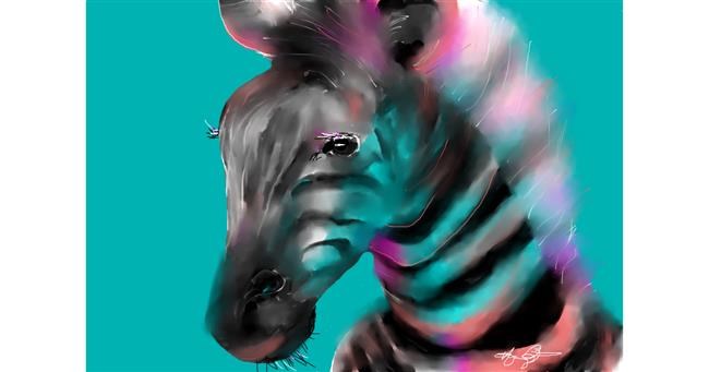 Zebra-Zeichnung von Mandy Boggs
