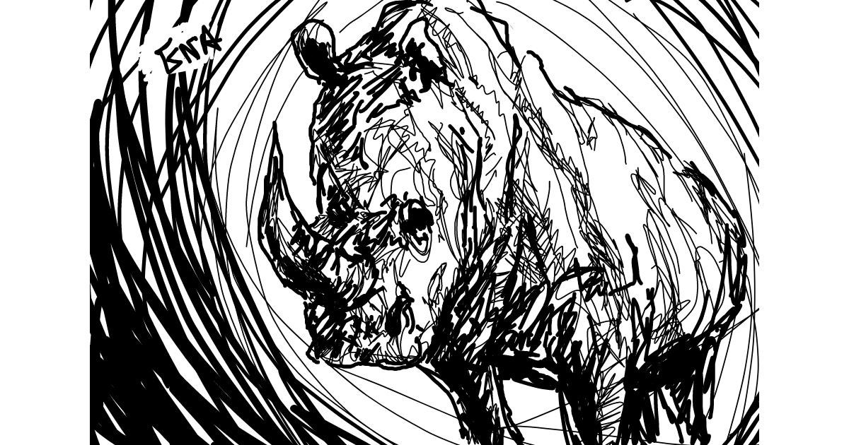 Drawing of Rhino by ena