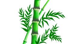 Drawing of Bamboo by Eh