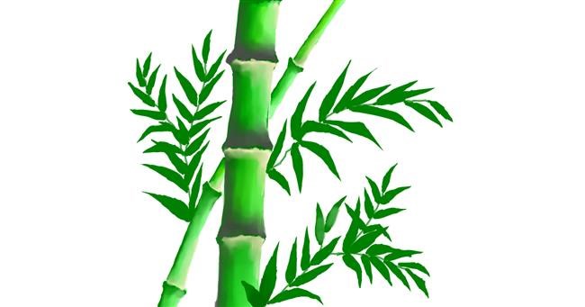 Drawing of Bamboo by Eh