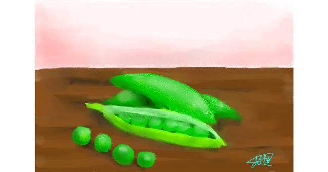 Drawing of Peas by Abbie