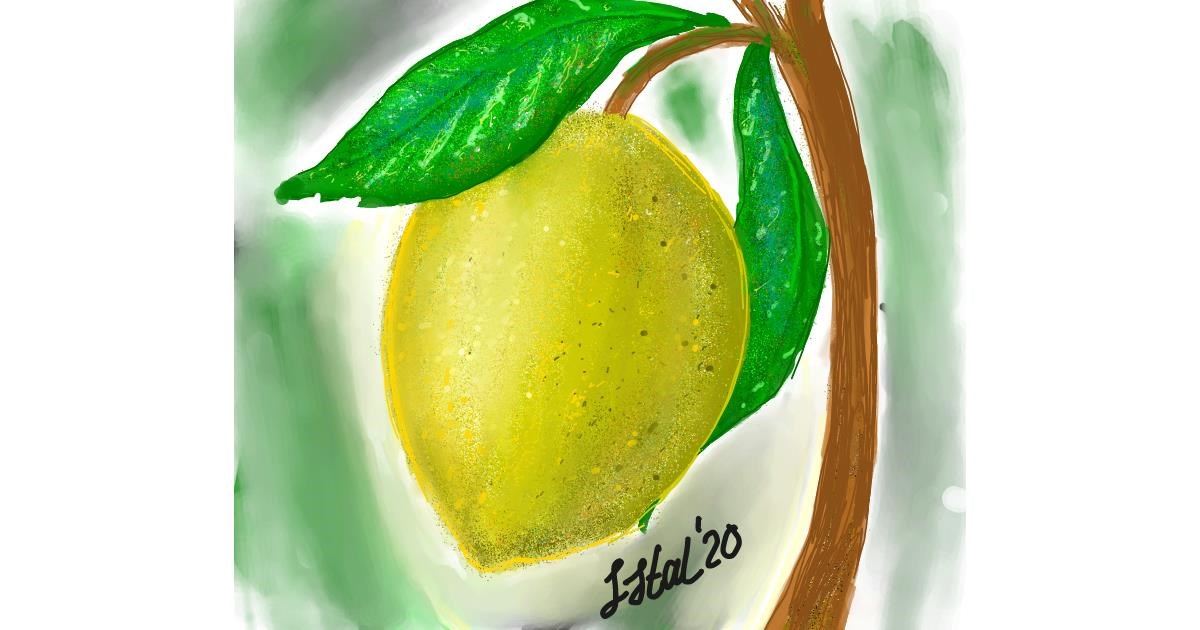 Drawing of Lemon by Iris