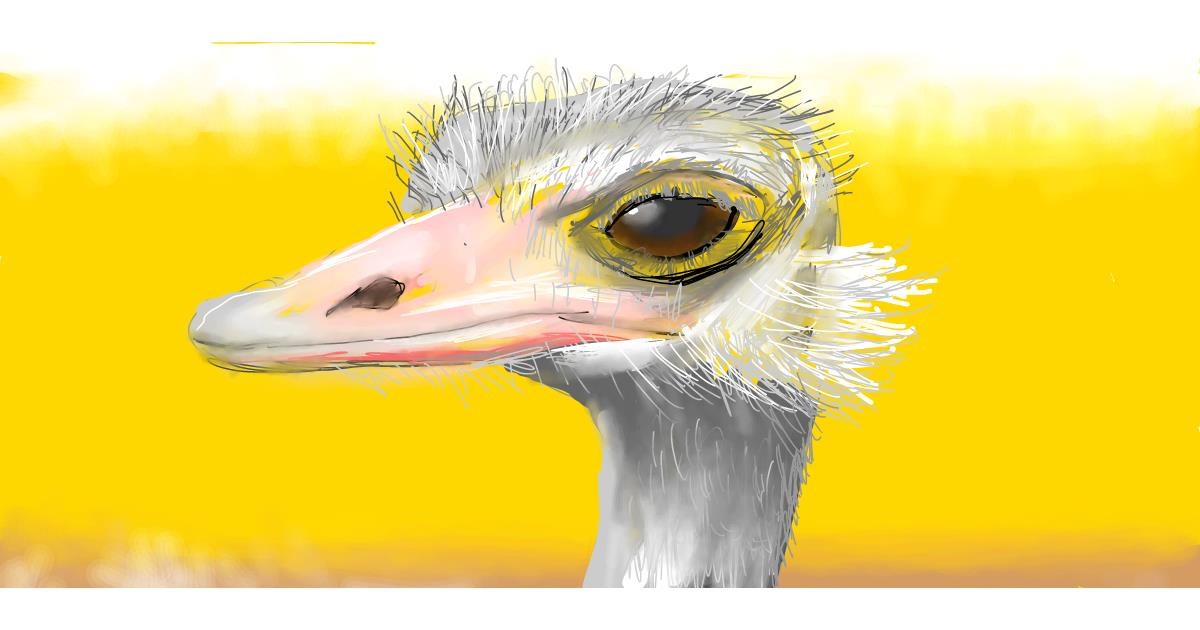 Drawing of Ostrich by Jac