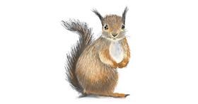 Drawing of Squirrel by Vinci