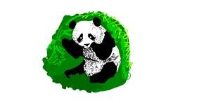 Drawing of Panda by Princess Ella