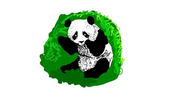 Drawing of Panda by Princess Ella