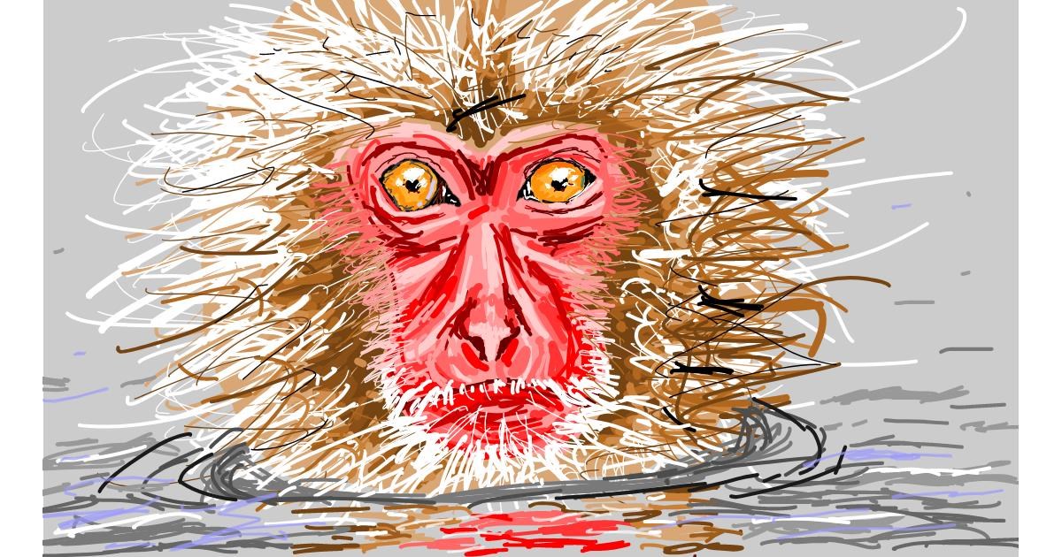 Drawing of Monkey by Sam