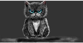 Mače - autor: Eclat de Lune