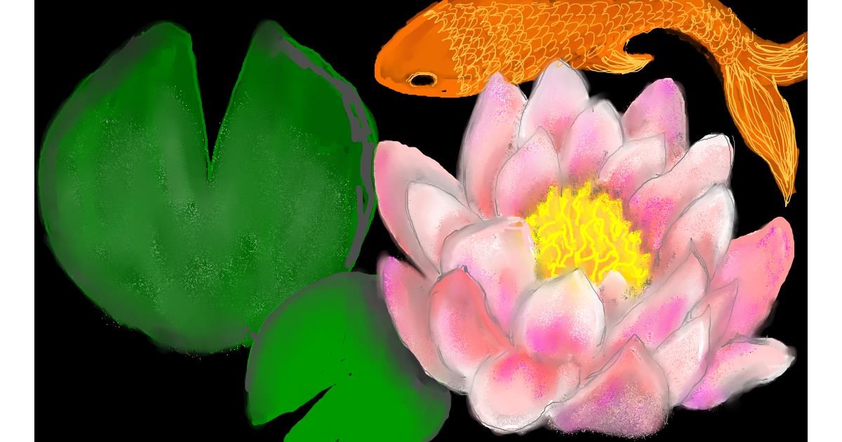 Drawing of Water lily by SAM AKA MARGARET 🙄