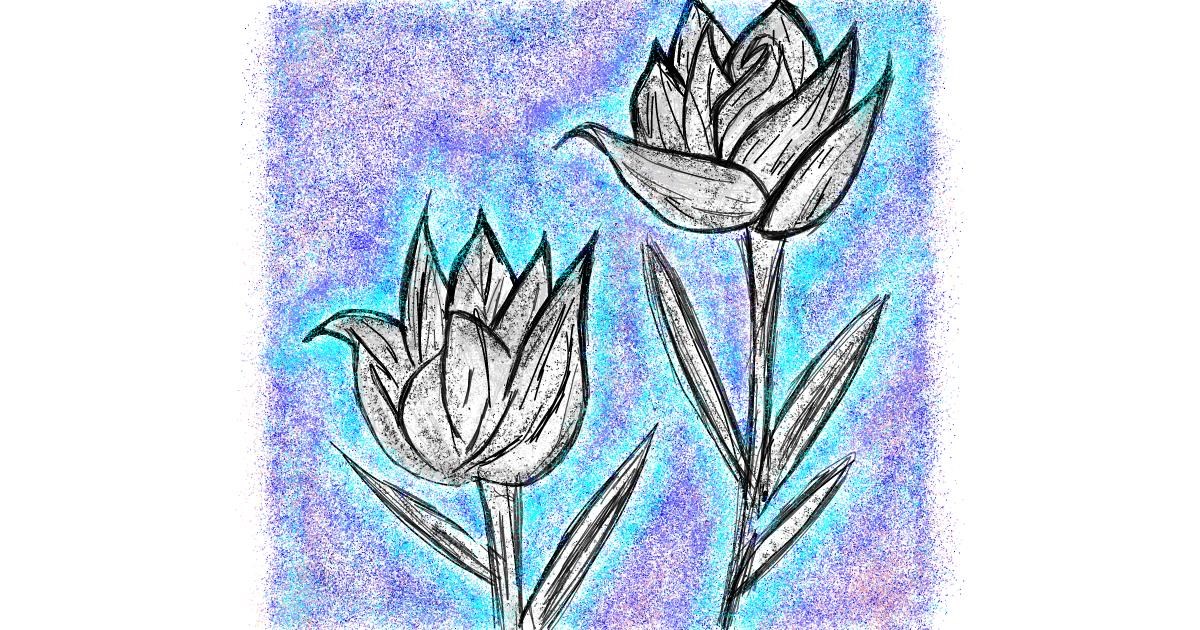 Drawing of Tulips by Kat