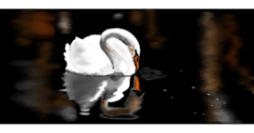 Drawing of Swan by Çhåching