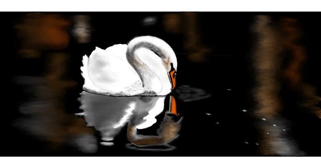 Drawing of Swan by Chaching