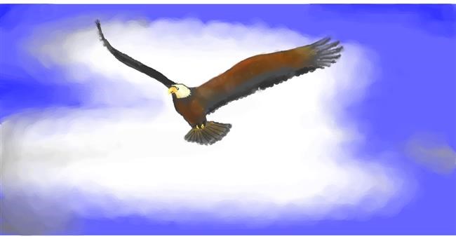 Drawing of Eagle by Pinky